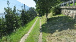 foto escursione